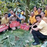 แพงสุดในโลก! ทุบสถิติประมูลทุเรียนนนท์ ก้านยาวลูกละ 1.5 ล้าน (คลิป)
