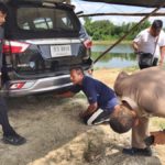 เจ้าของรถ ลากหมา พบตร. อ้างไม่รู้มีสุนัขผูกท้ายรถ ก่อนเห็นแชร์กันว่อนโซเชียล