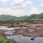 น้ำโขงวิกฤต เรือข้ามฟาก-เรือด่วนประสบปัญหาหนัก! ใช้สัญจรไม่ได้ (คลิป)