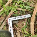 คนร้ายโหด! ควงลูกซองถล่มยิง นักวิชาการสาว รถพรุน ตร.เผยปมลอบสังหาร(คลิป)