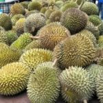 บุฟเฟ่ต์ทุเรียนบ้าน จ่ายแค่ 100 บาท  ก็อิ่มแปล้