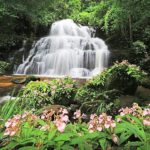 อุทยานฯภูหินร่องกล้า ชวนนักท่องเที่ยวพิชิต น้ำตกหมันแดง