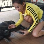 สุดประทับใจ สาวหลงป่า เจอสถานการณ์น่าหวาดกลัว - สุนัขโผล่ช่วยชีวิต เผยเรื่องแปลก