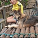 สุดประทับใจ สาวหลงป่า เจอสถานการณ์น่าหวาดกลัว - สุนัขโผล่ช่วยชีวิต เผยเรื่องแปลก