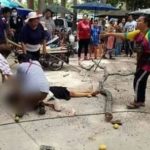 สาวดวงซวย เดินตลาดนัดอยู่ดีๆ กิ่งยางนาแห้งตกใส่หัวเลือดสาด อาการปางตาย