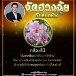 หมอช้าง เผยฮวงจุ้ย ไม้มงคลที่แนะนำให้ปลูกที่บ้าน หนุนครอบครัวมีสุข