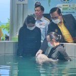 อ่อนโยนสุดๆ! 'บิ๊กตู่' ป้อนนม-คุยพะยูน "ยามีล" ขอให้เติบโตแข็งแรง (คลิป)