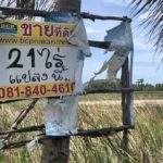 ไร้วี่แววคนซื้อ! ที่ดินครอบครัว แพรวา 21 ไร่ หลังเสี่ยใจดีขอซื้อ แต่หายเงียบ