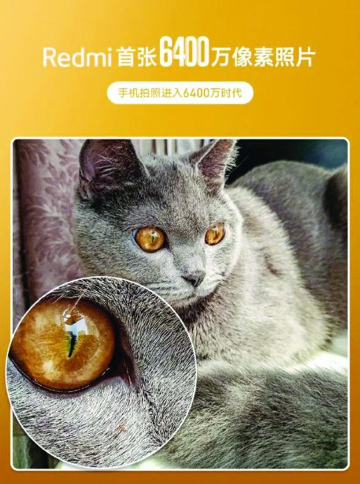 เรดหมี่