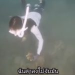 สื่อนอกตีข่าว อุทยานแห่งชาติเจ้าไหม แจ้งจับดาราสาว จับหอยมือเสือมาทำอาหาร