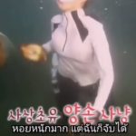 สื่อนอกตีข่าว อุทยานแห่งชาติเจ้าไหม แจ้งจับดาราสาว จับหอยมือเสือมาทำอาหาร