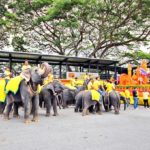 ช้างแสนรู้ ร่วมสืบสานประเพณี แห่เทียนพรรษา ที่สวนนงนุชพัทยา