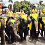ช้างแสนรู้ ร่วมสืบสานประเพณี แห่เทียนพรรษา ที่สวนนงนุชพัทยา
