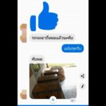 ภาพไม่ตรงปก! สั่งซื้อไก่ทางเฟซบุ๊ก บอกสวยเชิงดี แต่มาถึงได้ไก่ตาบอด-แผลเต็มตัว