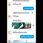 ภาพไม่ตรงปก! สั่งซื้อไก่ทางเฟซบุ๊ก บอกสวยเชิงดี แต่มาถึงได้ไก่ตาบอด-แผลเต็มตัว