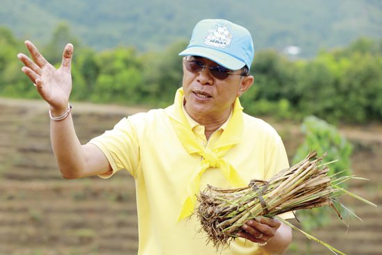 ผลิตผลจากดอยสูง โครงการหลวงเลอตอ