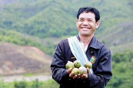 ผลิตผลจากดอยสูง โครงการหลวงเลอตอ