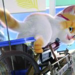 ก๊วนเหมียวหง่าว ผจญภัยไปกับ‘Cats’