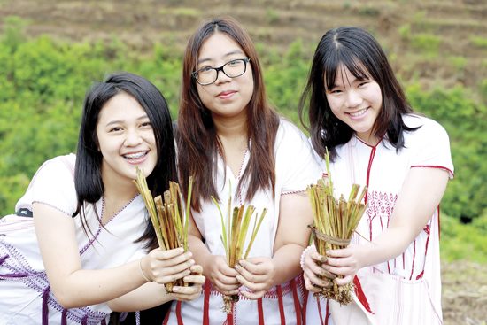 ผลิตผลจากดอยสูง โครงการหลวงเลอตอ