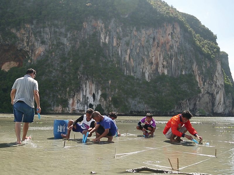 ปลูกหญ้าทะเลคืนชีวิตสัตว์น้ำ