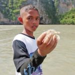 ปลูกหญ้าทะเลคืนชีวิตสัตว์น้ำ