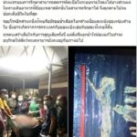 เปิดผลชันสูตร ต้นตอทำ มาเรียม ติดเชื้อในกระแสเลือด-ปอดเป็นหนองจนคร่าชีวิต