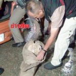 กู้ภัยซิ่งเก๋งแหกโค้งเจ็บ! ตร.ผงะเจอปืนอื้อติดลำกล้องเก็บเสียง ซากสัตว์สดๆอีกเพียบ(คลิป)
