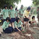 เถ้ากระดูกผู้วายชนม์ ให้ชีวิตใหม่กับต้นไม้