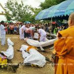 จัดลิเกคณะดังแก้บน! 4 ตะเคียนยักษ์ ให้โชคถูกหวยยกหมู่บ้าน แถมขุดพบอีกต้น