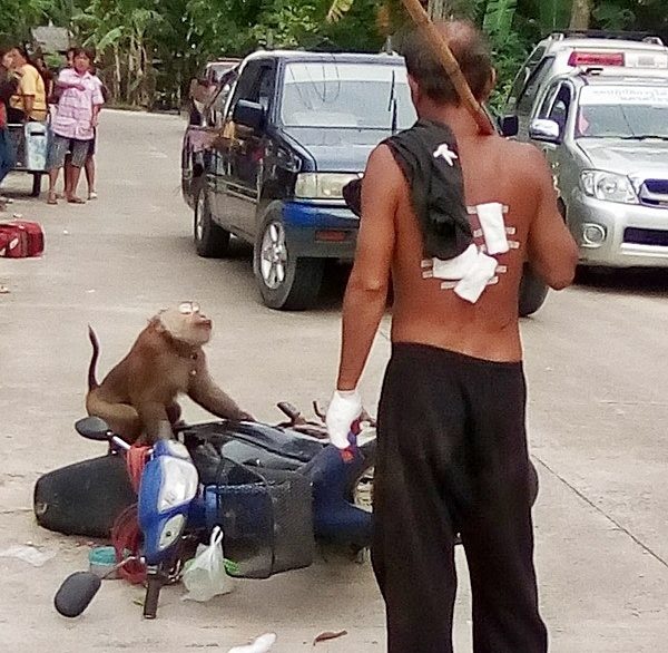 ภาพจาก : ที่นี่ เมืองคอน