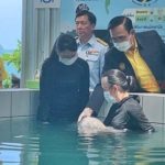53 วันแห่งความหวัง! อาลัยพะยูนตัวน้อย  ‘ยามีล’ ชายรูปงามแห่งท้องทะเล