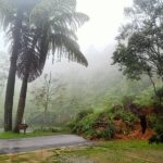 ระทึก! ฝนตกหนัก ดินสไลด์ เบียดกระบะเสียหาย ปิดเส้นทางรถผ่านไม่ได้