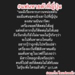 หนุ่มสุดห่วง! แฟนสาวหายตัวปริศนาที่ญี่ปุ่น หลังลงเครื่องติดต่อไม่ได้-วอนช่วย