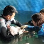 มาเรียมจากไปแล้ว ทีมแพทย์สุดยื้อ โซเชียลแห่ไว้อาลัย