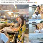 สายบุญตัวจริง! จ๊ะ บุกตลาดซื้อปลาปล่อยชีวิต แต่โดนโฟกัสแผ่นราคา-โชว์เลขเด็ด