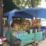 ไหว้หลวงพ่อโต วัดถั่วทอง-ชมหาดทรายนํ้าจืดสามโคก