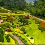 เที่ยวฟรีวันแม่ ที่สวนพฤกษศาสตร์สมเด็จพระนางเจ้าสิริกิติ์ จ.เชียงใหม่