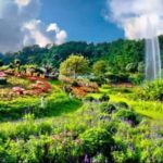 เที่ยวฟรีวันแม่ ที่สวนพฤกษศาสตร์สมเด็จพระนางเจ้าสิริกิติ์ จ.เชียงใหม่