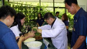 รมว.ทส. ได้ทดลองผสมเกสรดอกกล้วยไม้สกุลแวนด้า และนำกล้วยไม้เอื้องสามปอยหลวงออกจากขวด