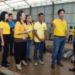 ทำไม่ทันขาย! สหกรณ์บ้านแพรกหาฯ นำนวัตกรรม ParaFIT แปรรูปหมอน-ที่นอนยางพารา