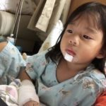 กุ๊บกิ๊บ แทบทรุด! เป่าเปา เลือดกบปากเย็บ 15เข็ม ซิ่งเข้ากทม.ส่งรพ.ด่วน