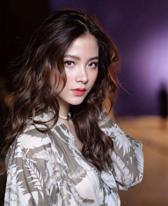 ใบเฟิร์น ใบเฟิร์น