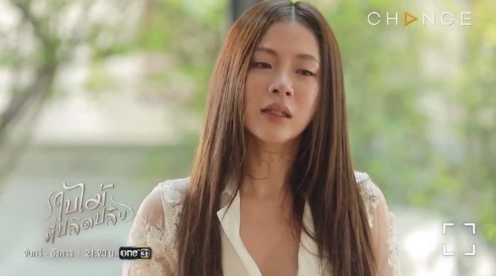 ใบเฟิร์น ใบเฟิร์น