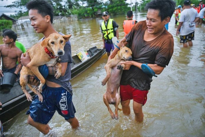 อ่วมน้ำท่วม-ดินถล่ม