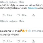 พีช ฝากให้กำลังใจ แพทริเซีย แทน ขอใช้ #พีชแพท ครั้งสุดท้าย - พี่สาว โพสต์ถึงน้อง