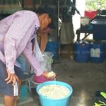 ภัยแล้งพ่นพิษ ดอกมะลิขาดตลาด คาดวันแม่แห่งชาติ ราคาแพงเป็นเท่าตัว (คลิป)