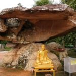 สุรินทร์อากาศเย็นแล้ว! อุณหภูมิลด 5องศา หมอกหนา-บรรยากาศฟินเว่อร์