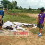 ตะลึง! ต้นตะเคียน โบราณ14ต้นมุดน้ำหนีมารวมกัน ชาวบ้านนำขึ้นฝั่ง แห่ขอโชคลาภ