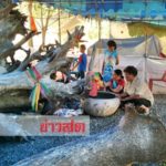 ตะลึง! ต้นตะเคียน โบราณ14ต้นมุดน้ำหนีมารวมกัน ชาวบ้านนำขึ้นฝั่ง แห่ขอโชคลาภ