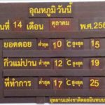 วันหยุดสุดท้ายคึกคัก! นักท่องเที่ยวแห่ขึ้นดอย อินทนนท์ สัมอากาศเย็น 10องศา
